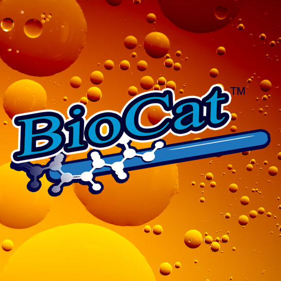 Biocat Draft